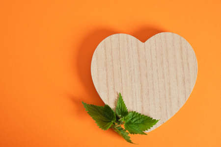 wooden heart shaped podium and nettle leaves, organic product presentationの写真素材