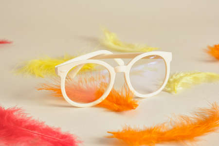eyeglasses on beige background with colored feathers fashion lightweight plastic eyeglass framesの写真素材