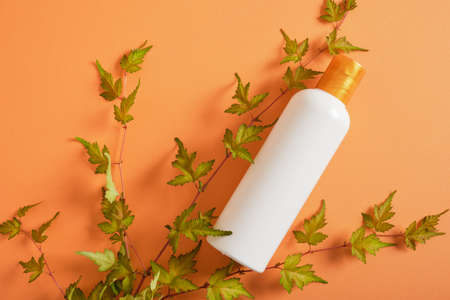 white mock up bottle with concept and plant branch with leaves orange background top viewの写真素材