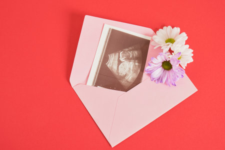 chrysanthemum flowers and snapshot of an ultrasound scan in envelope on a red background pregnancy...