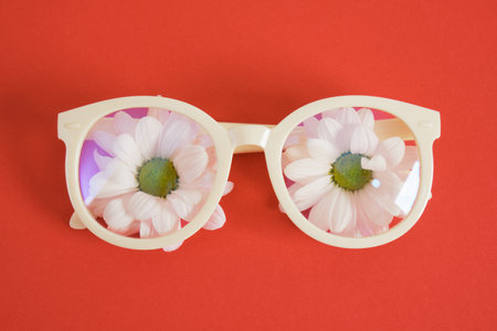 beige plastic trendy eyeglasses and chrysanthemum on bright red background creative composition...