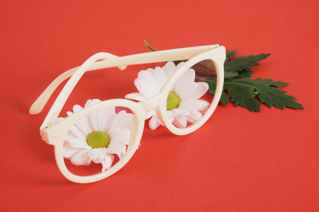 beige plastic trendy eyeglasses and chrysanthemum on bright red background creative composition...