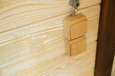 electric switches made of natural wood on the wall, safe sockets, environmentally friendly...