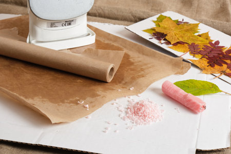 the process of covering the leaves with paraffin using wax paper, iron the wax paper with leaves, save the sheet for floristry and creativityの写真素材