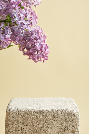 lilac branch and aerated concrete podium on a beige background, mock-up background for product presentation, close-up, beautiful place for a product with lilacの写真素材