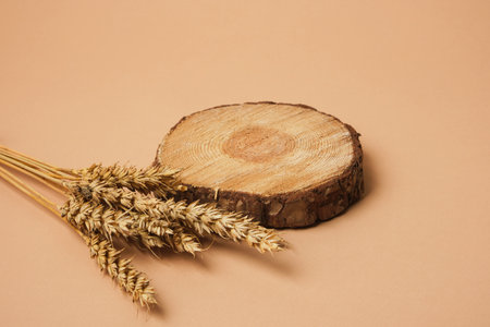 Natural organic eco-friendly beauty product concept. Wooden cross section cut on beige background. Showcase for cosmetic products. Product advertisement. wood sliceの写真素材