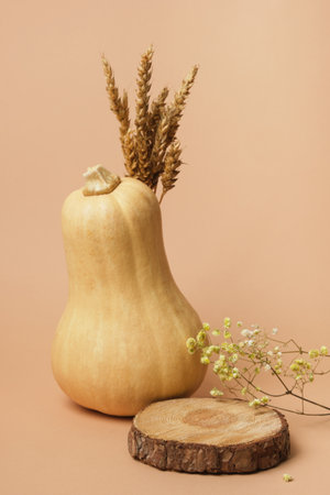 Butternut squash, wheat and wood cut on beige background, mock up for product presentationの写真素材