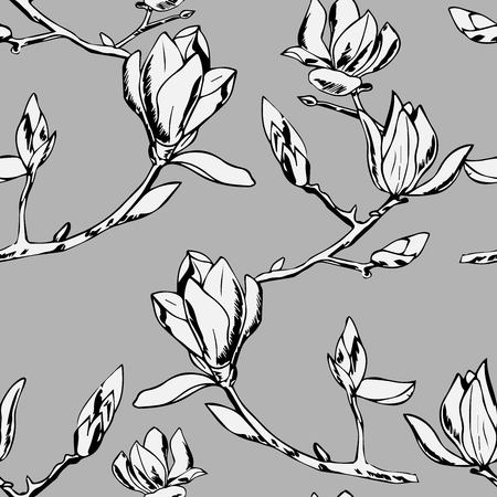Flowering branch with flowers and buds. Fragrant and tender magnoliaのイラスト素材