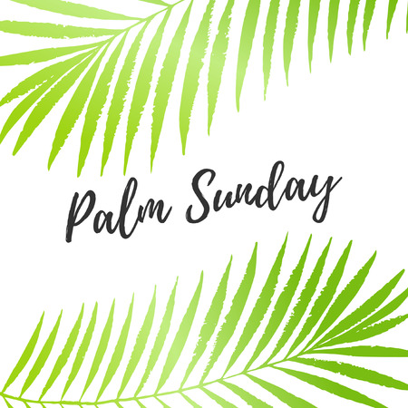 Palm Sunday holiday card, poster with palm leaves border, frame. Vector backgroundのイラスト素材