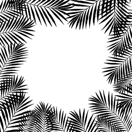 Summer tropical palm tree leaves border, frame background. Vector grunge design for card, poster, wallpaper. Natural tropical palm tree on white.のイラスト素材