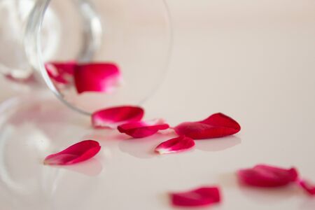 exotic tea from red rose petalの写真素材