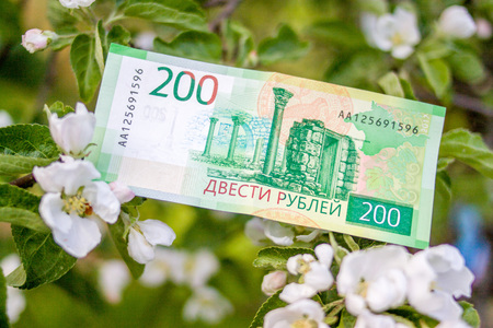 Banknote Two hundred Russian rubles with white flowers backgroundの写真素材