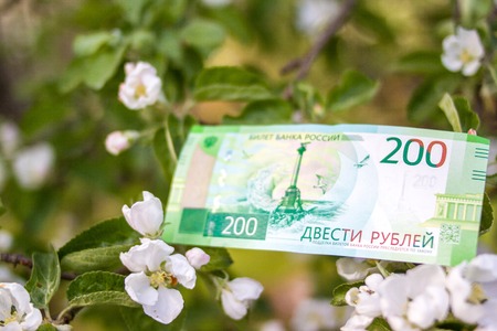 Banknote Two hundred Russian rubles with white flowers backgroundの写真素材