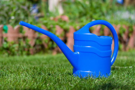 Blue Watering can. Gardening or planting concept. Working in the garden.の写真素材