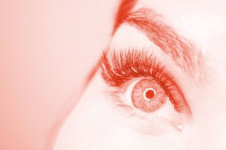 Cropped woman face with eye long false eyelashes close up toned with main trendy Living Coral color of the year 2019 Space for text. - Beauty salon and eyelash extension procedure.の写真素材