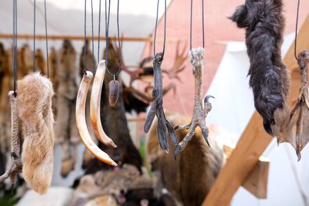 Fangs, teeth, tails, paws of birds and animals hanging on a rope. Accessories for a witch's potion. Halloween conceptの写真素材