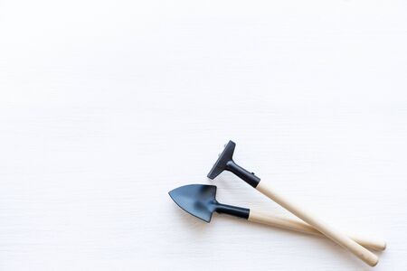 Tools for gardening at home. Growing food on windowsill. Copyspace for text, top view. Flatlay on...