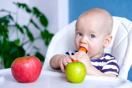 baby food. Little cutest caucasian child eating carrot and green Apple. healthy food. looking at camera on highchair. Fresh vegetables and fruits. New born infant kids.の写真素材