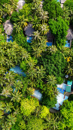 Aerial view of luxury tropical resort with villas and pools hidden in lush palm trees by the beach, paradise vacation in maldives, summer escape, eco island retreatの写真素材