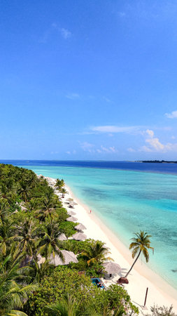 Tropical white sand beach with calm turquoise water and palm trees under blue sky, serene atmosphere for summer travel, hotel, resort, family vacationの写真素材