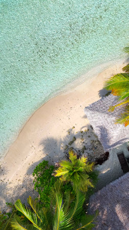 Tropical white sand beach with calm turquoise water and palm trees under blue sky, serene atmosphere for summer travel, hotel, resort, family vacationの写真素材