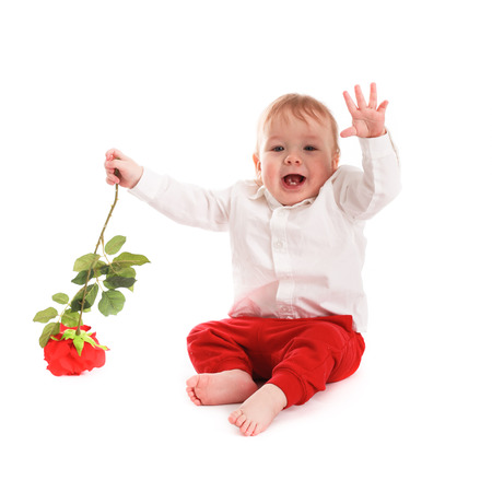 baby boy gentleman  on a white background, heartthrob plays with rose concept valentine's dayの写真素材