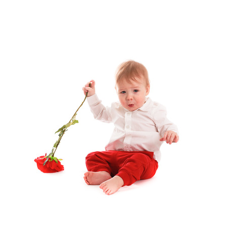 baby boy gentleman  on a white background, heartthrob plays with rose concept valentine's dayの写真素材