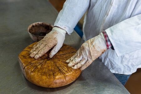 production of cheese in the dairy, work mixes lubricates coffee head Monterey Jack cheese