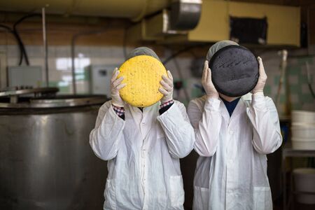 cheese at the dairy,two working  cheese with heads cheese, prodactianの写真素材