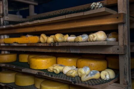 cheese at the dairy, cheese is ripen on wood racksの写真素材