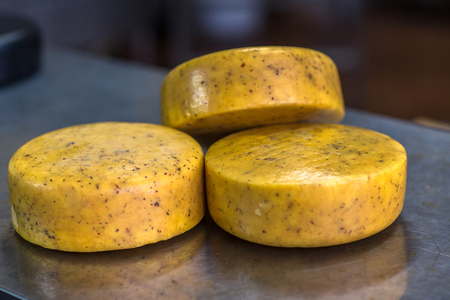 heads of cheese with mold in the latex in the production in the dairy,の写真素材