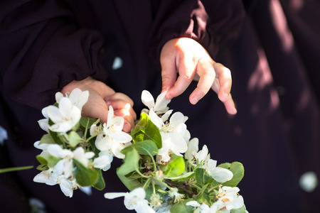 Children's hand with a branch of blossoming apple tree, the concept of spring and childhoodの写真素材