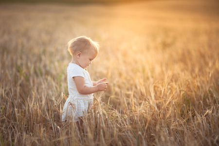 Child Toddler on the wheat field at sunset, the concept of freedom and childhood, lifestyleの写真素材