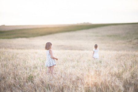 Emotional sisters on the wheat field at sunset, the concept of freedom and childhood, lifestyle, pastel colorsの写真素材