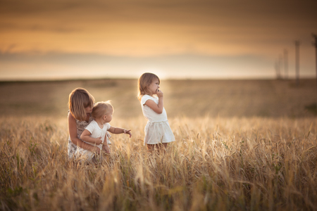 Three girls sisters walk in the field with rye at sunset, happiness and freedom, lifestyle and selective focusの写真素材