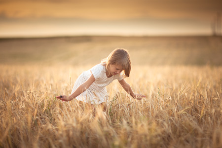 Girl kid walks in the field with rye at sunset, happiness and freedom, lifestyle and selective focusの写真素材