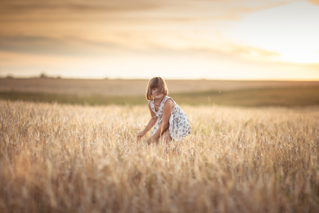 Girl kid walks in the field with rye at sunset, happiness and freedom, lifestyle and selective focusの写真素材
