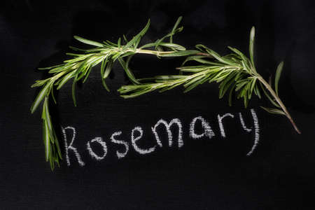 Fresh bunch of rosemary on a chalky black board with the name, top view with an inscription of chalkの写真素材