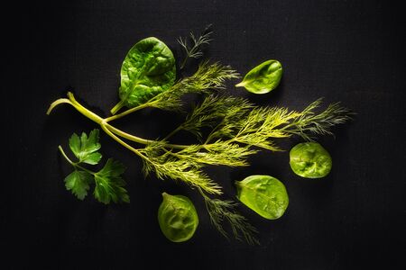Spinach and greens of dill and parsley, spices and condiments on a black chalkboard, copy space