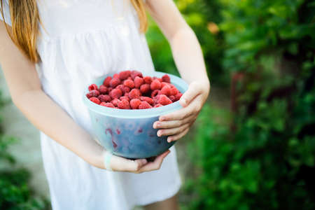 Cute European girl child teenager with big bowl of raspberries, Daughter helps pick berries in...