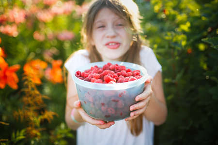 Cute European girl child teenager with big bowl of raspberries, Daughter helps pick berries in...
