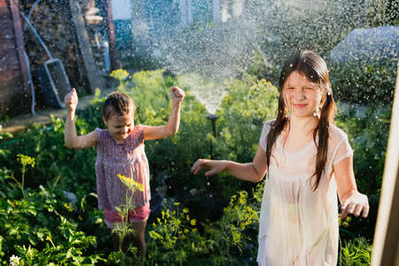 Wet happy children in the garden at sunset in watering jets. Backyard and hot weather, happy childhood and lifestyleの写真素材