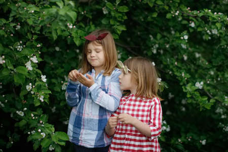 Cute sibling sister girls with a headband with a bow are studying the leaves of the bush, children are interested and learn about the world around themの写真素材
