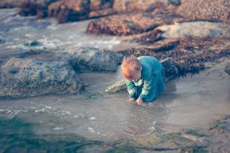 Toddler girl in a dress plays with water on the seashore at sunset, sand and stones, lifestyleの写真素材