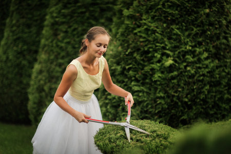 Beautiful woman girl in a dress with garden scissors cuts juniper, horticultural and topiary lawn, Garden bonsai, juniper niwaki. Classical garden topiary artの写真素材