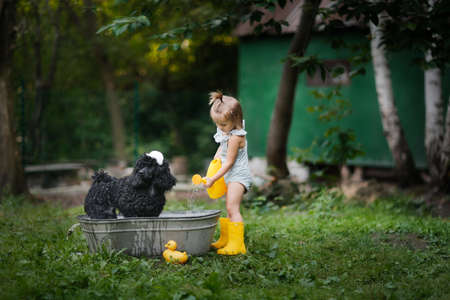 child and dog bathe together in summer. Toddler taking care of dog,の写真素材