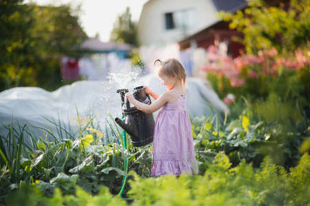 cute toddler kid girl with big watering can waters beds in garden in summer, helping children in garden and child taking care of plants. Montessori outside and natural gardeningの写真素材