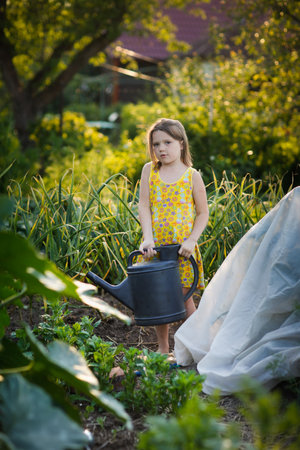 cute kid girl with big watering can waters beds in garden in summer, helping children in garden and child taking care of plants. Montessori outside and natural gardeningの写真素材