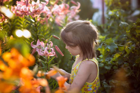 Cute european kid girl in the garden with lily flowersの写真素材