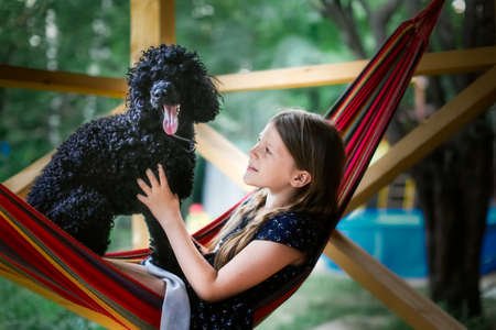 Kid girl and black poodle resting on hammock, children and pets, cozy photos of summer vacation in the backyardの写真素材